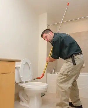 toilet auger