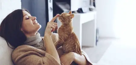 cat with owner